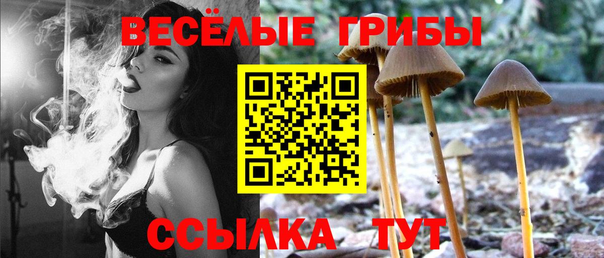 Янаул  купить  цена  Вход с VPN  Галлюциногенные грибы Magic Shrooms 